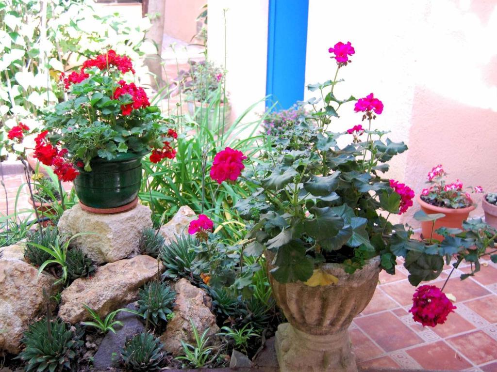 Hostal Fabrellas Caldes de Malavella Dış mekan fotoğraf