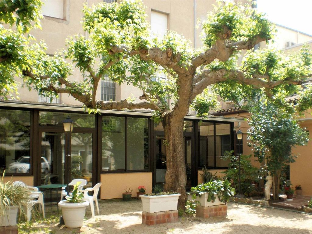 Hostal Fabrellas Caldes de Malavella Dış mekan fotoğraf